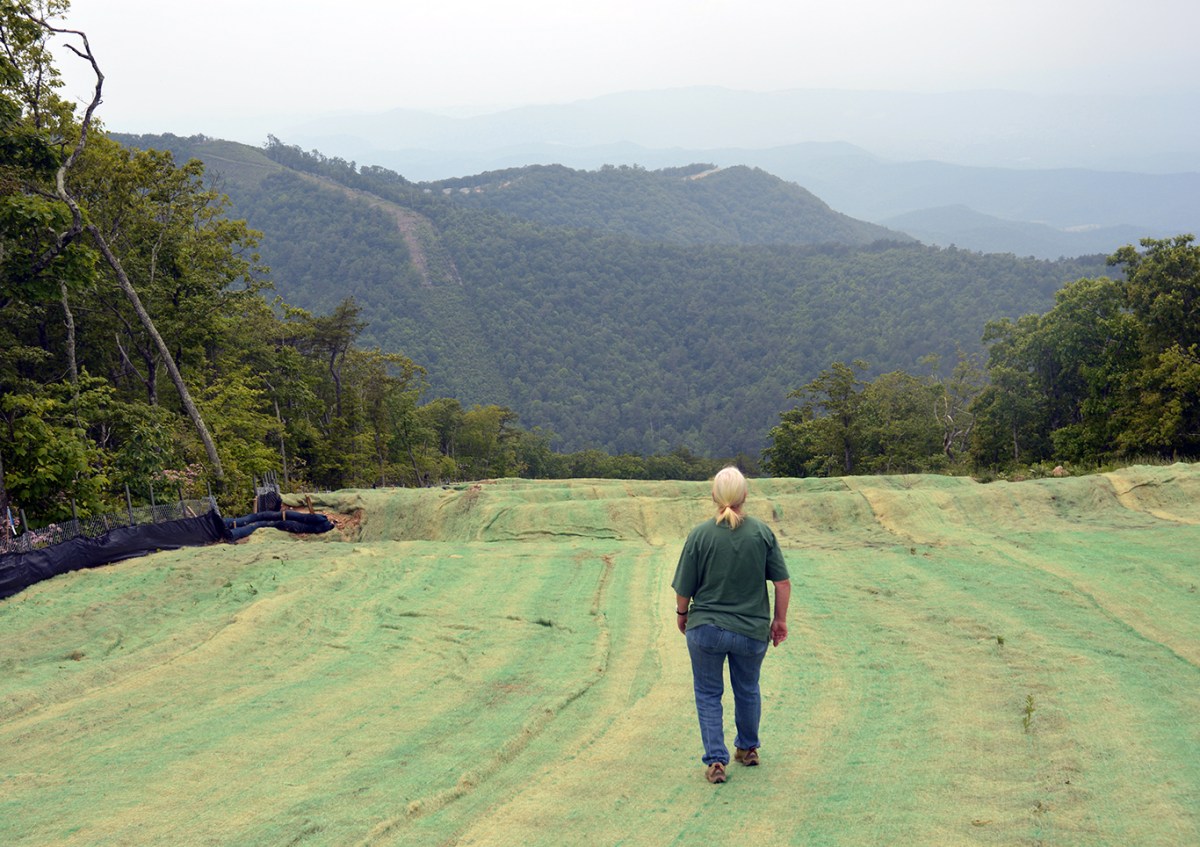 Red Terry traces the path of the pipeline on Poor Mountain and beyond in Appalachia.