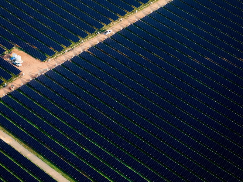 Rows upon rows of solar panels, seen from above.