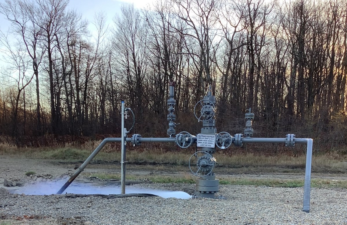 A pipeline runs above the ground with trees in the background.