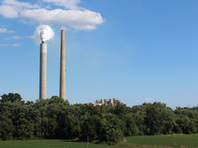 Two smokestacks rise above a row of trees.