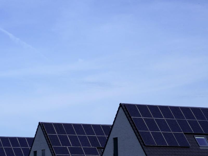 A series of roofs covered in solar panels.